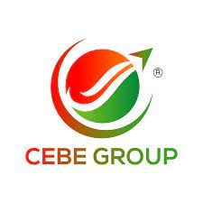 Cebe Group Logo Animation